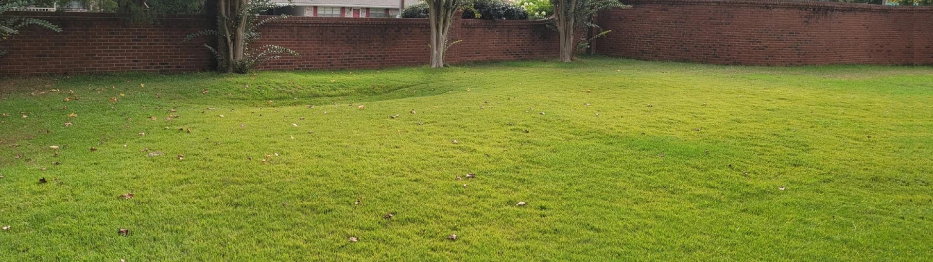Lawn Care & Maintenance breadcrumb